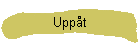 Upp�t